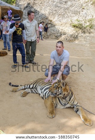 KANCHANABURI, THAILAND - DECEMBER 28: Unknown tourist with a bengal tiger at the Tiger Temple on December 28 2013, Kanchanaburi, Thailand. The Theravada Buddhist temple was founded in 1994.