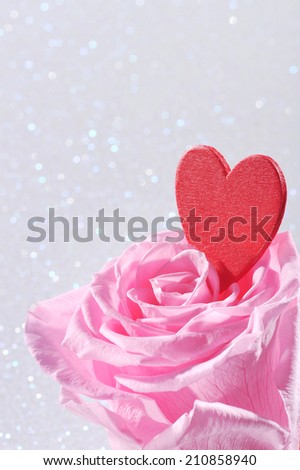 Red heart in pink rose on white sparkle background