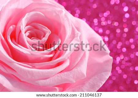 Pink rose on pink sparkle background