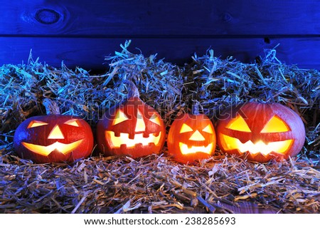 four illuminated halloween pumpkins and straw in front of old weathered wooden board in blue light