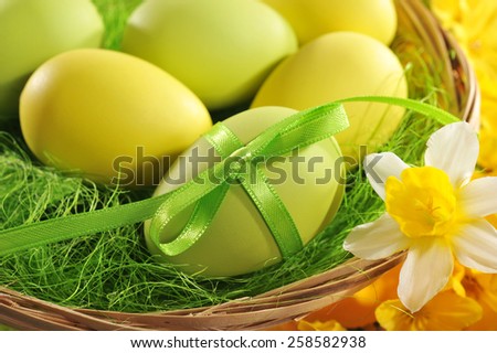 easter basket with many colored easter eggs, green bow and narcissus