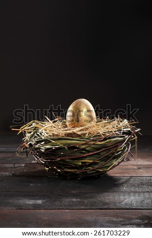 Golden egg in nest on old weathered wooden board in front of dark background