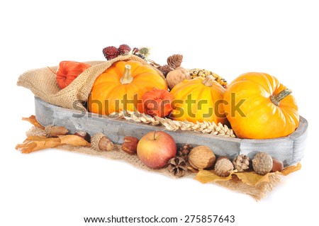 Thanksgiving - different pumpkins, apple, berries, nuts and grain on jute bag in wood basket on white background