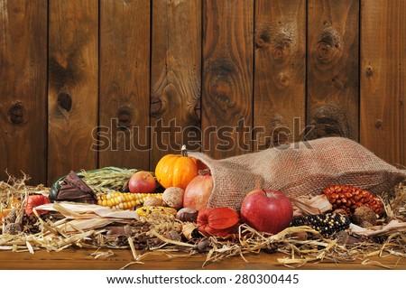 Thanksgiving - different pumpkins, maize-cob, apples and grain in jute bag on straw in front of old weathered wooden board
