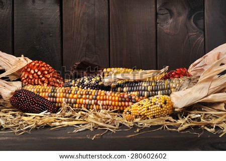 potpourri of maize-cobs for thanksgiving in front of old weathered wooden boards