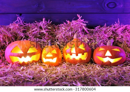 four illuminated halloween pumpkins and straw in front of old weathered wooden board in crazy violet halloween light