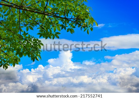 Blue Sky, clean and clear sky and tree background, View on nice sky with clouds daylight - Thailand