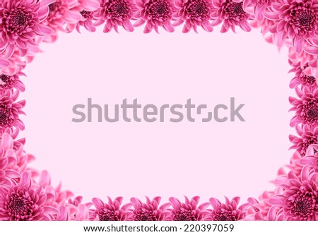 Dahlia, beautiful purple and Colorful Violet Dhalia Amethyst Flower Pattern on white Background, isolated