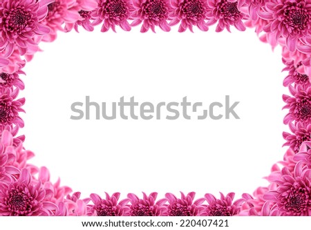 Dahlia, beautiful purple and Colorful Violet Dhalia Amethyst Flower Pattern isolated on white Background