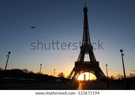Eiffel Tower in Paris on the morning Eiffel Tower in Paris on the morning