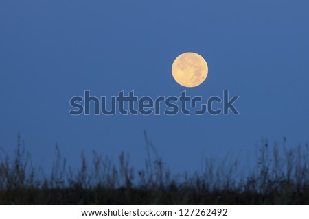 Red moon on blue sky