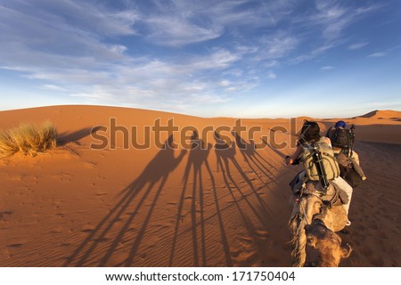 Group of tourists going for a caml trip in the middle of deserts with old nomads