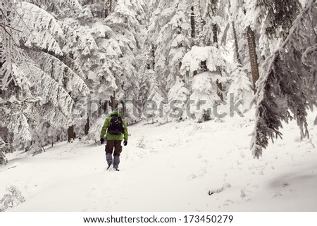 Adventure man walking in forest in winter
