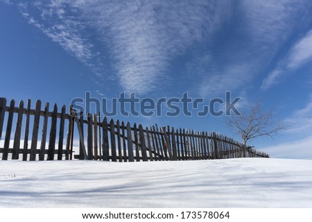 Rural fence in winter with single tree and blue sky