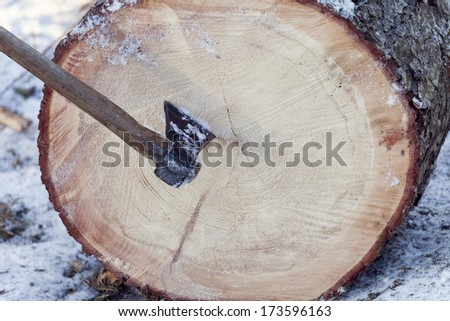 Axe and log isolated in nature