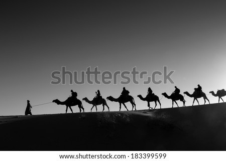 Camel caravan going through the desert black and white