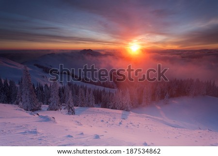 Winter colorful sunrise over the clouds with firs full of snow