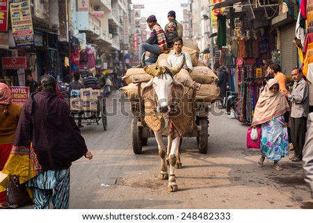 DELHI, INDIA - DEC 31: The cow carries a cart on the streets in Delhi on Dec 31, 2014. Delhi it has a population of about 11 million and a metropolitan population of about 16.3 million