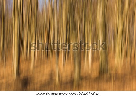 Abstract forest with long exposer, beautiful colorful background