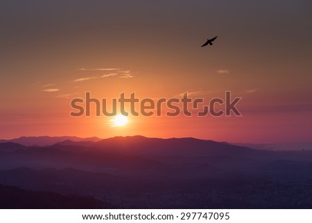 Beautiful sunrise over mountains with bird flying