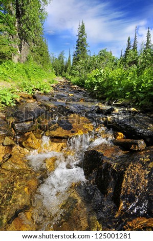 boiling water flow water flow in rocks of the taiga forest green