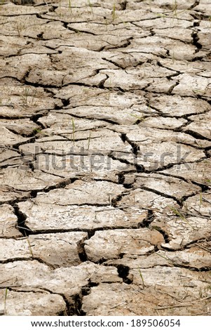 Mud cracks dryness texture background,Chiangrai ,Thailand