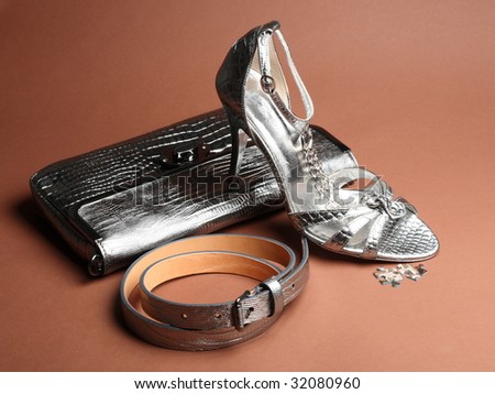 fashionable silver clutch, belt and elegance shoe