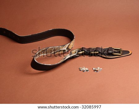 textile fashionable women belt with snake print