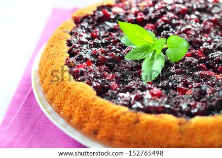 Blackberry pie closeup