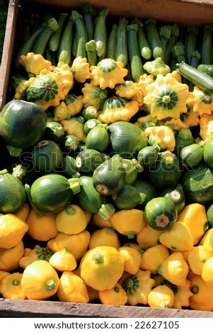 Selection of different kinds of squash in wood display box at farmers\' market