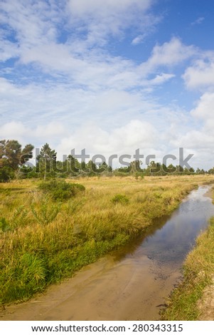 Water pool with yellow and green field and blues sky with clouds - Tramandai - Rio Grande do Sul - Brazil