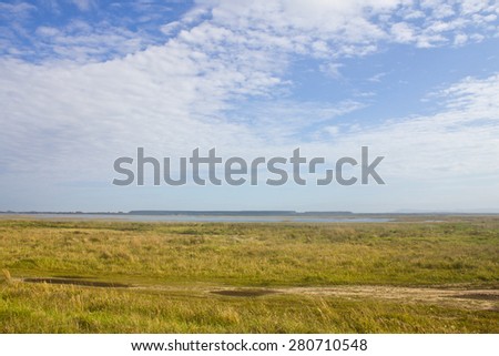 Yellow and green field and blues sky with clouds - Tramandai - Rio Grande do Sul - Brazil