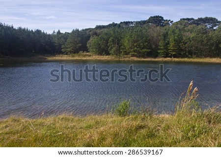 Lake and forest at Nova Petropolis - Rio Grande do Sul - Brazil