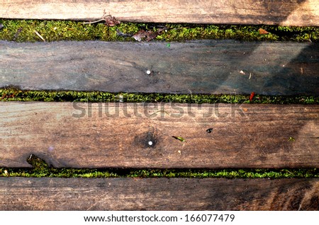 Old Plank in the garden Floor Background