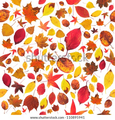 Cheerful colorful seamless leaves wallpaper on a white background