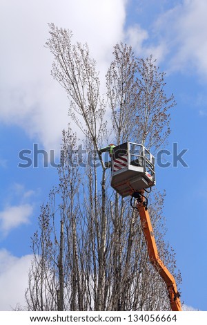 A worker with a chainsaw trim the tree branches on the high