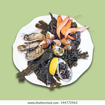Seafood platter with shrimps, snails and oysters