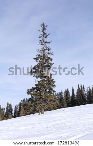 Wildlife observation point, hunting tower, on the fir tree, winter and snow