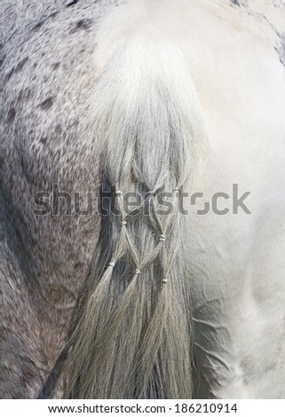 Braids on a white horse tail