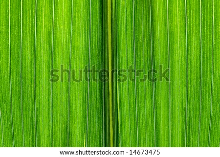 stock photo : green sheet