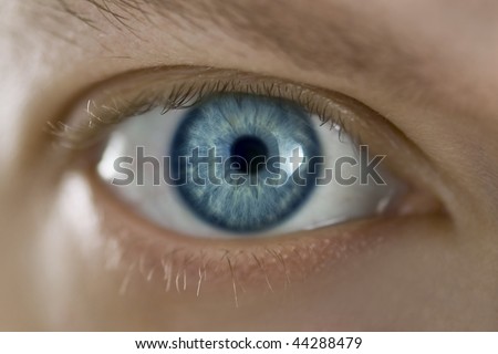 Mans blue eye close up