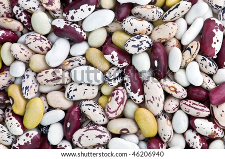 varicolored kidney bean close up