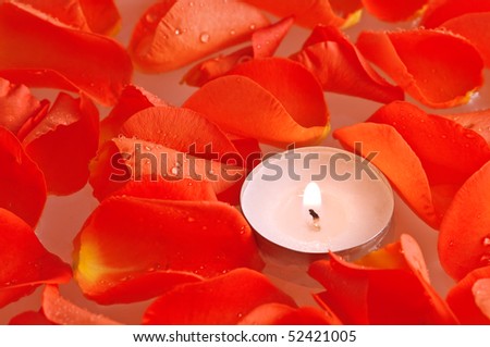 candle and rose petals in water