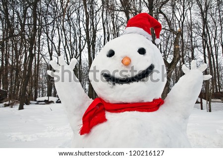 cute snowman in winter garden