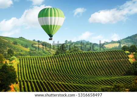 Amazing rural landscape with green balloon under vineyard on Italy hills. Vine making background