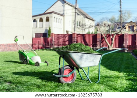 Electric lawn mower on green grass closeup