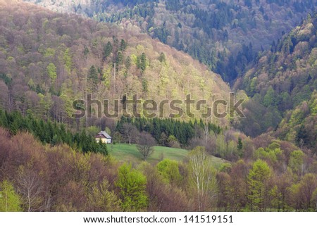 alone house in carpathian mountains