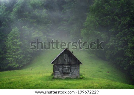 alone cabin in the woods