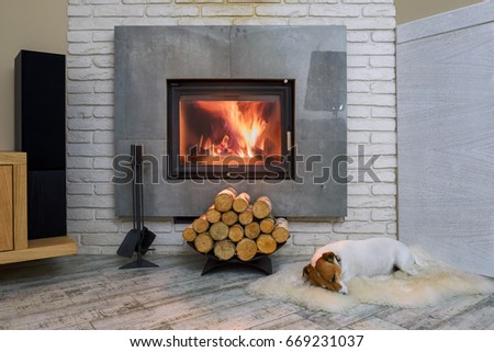 Jack russel terrier sleeping on a white rug near the burning fireplace. Resting dog. Hygge concept