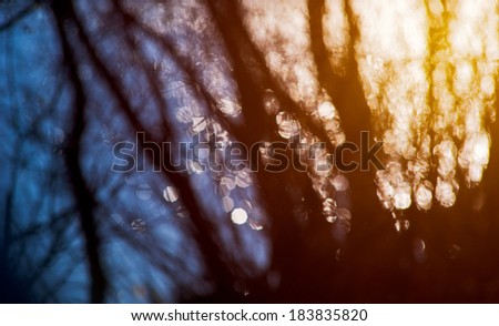 Abstract landscape background of defocused trees and river with bokeh effect